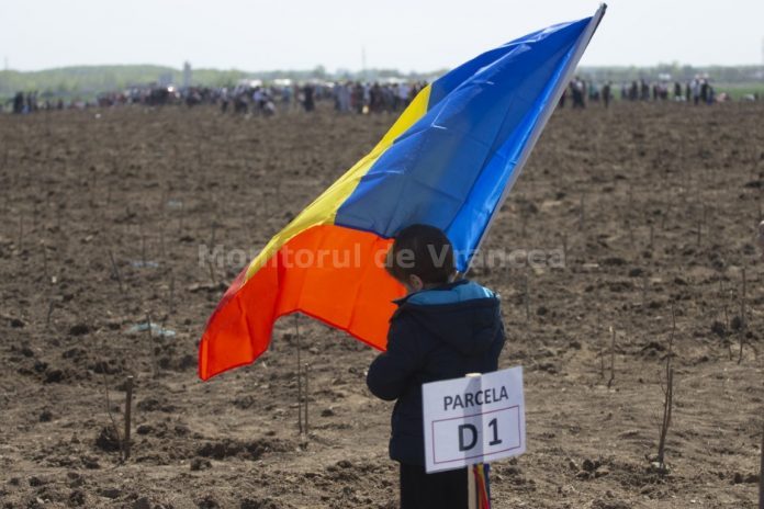 5parcul-DA-696x464