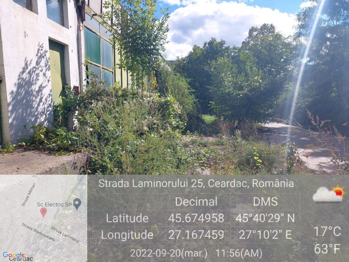 garda mediu ambrozie laminorul